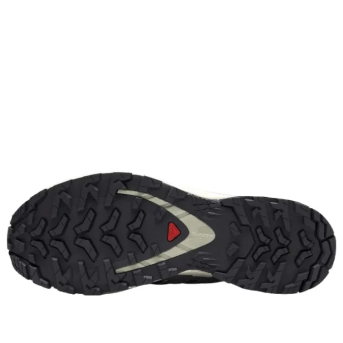 Salomon XA PRO 3D V9 GTX “Cinza Escuro Bege”