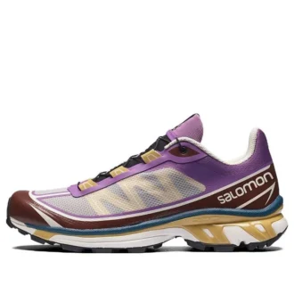 Salomon XT-6 Ft “Cinza Roxo Castanho”