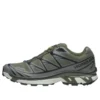 XT-6 Gore-Tex “Olive Night Sedona Sage”
